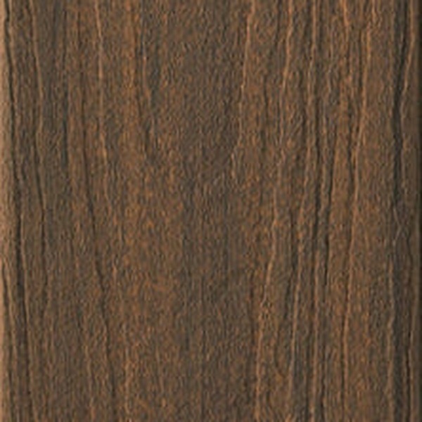 Mountain Ash